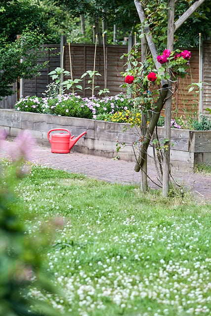 Care For The Elderly At Home Bromley Care For The Elderly At Home Bromley